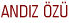ANDIZ �Z�